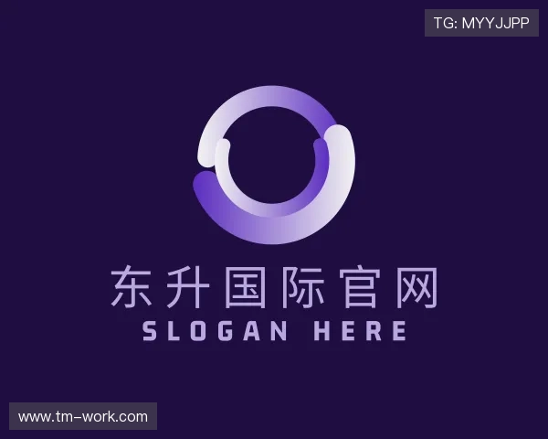 了解东升国际官网